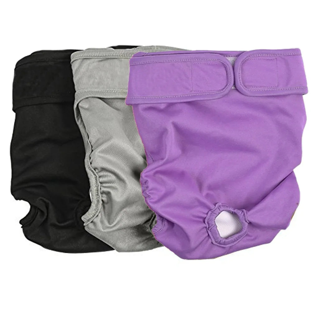 Couche pour Chien Règle / Incontinence