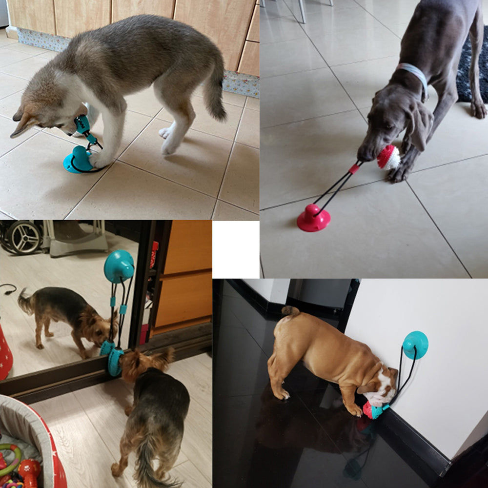 La balle pour chien anti-stress | BouncePup™