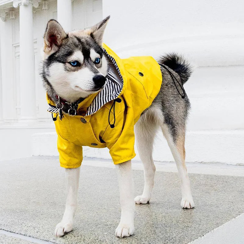 Manteau Pluie Carlin et Petit Chien