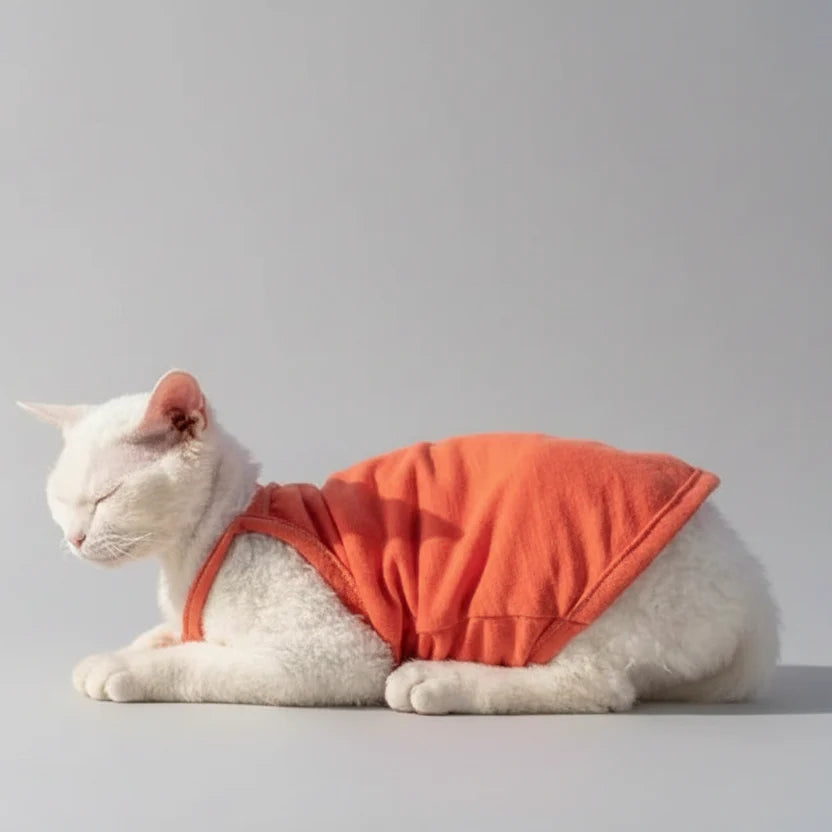 T-Shirt En Coton Confortable Pour Chat
