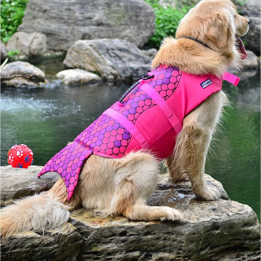 Gilet Sauvetage Chien Sirène
