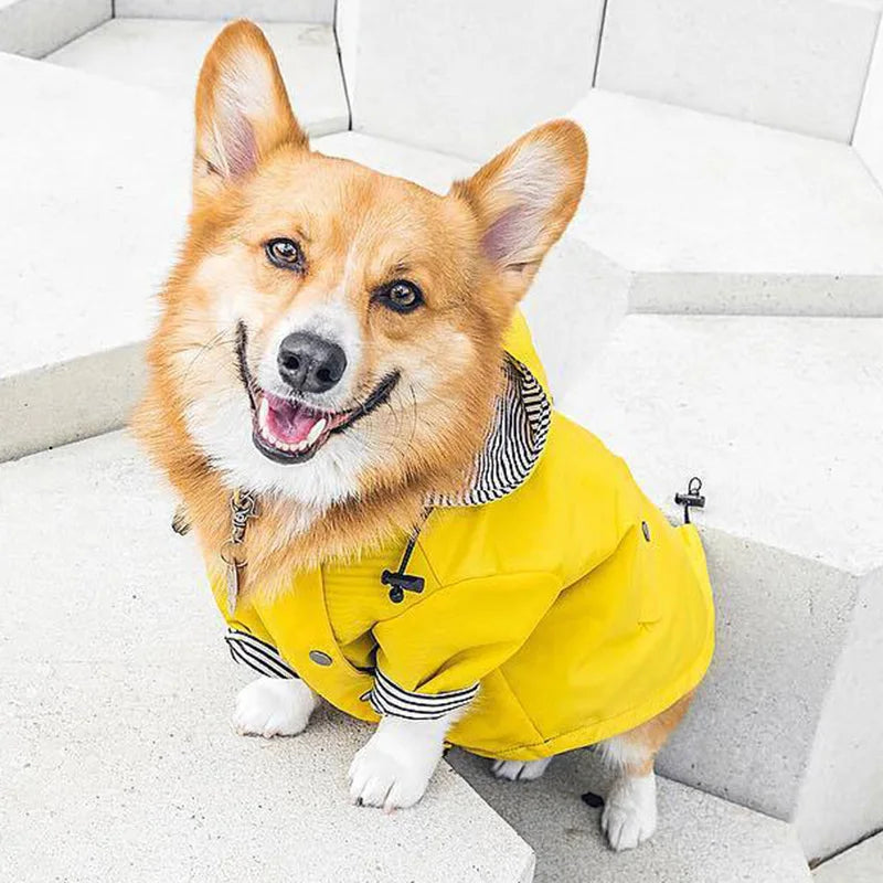 Manteau Pluie Carlin et Petit Chien