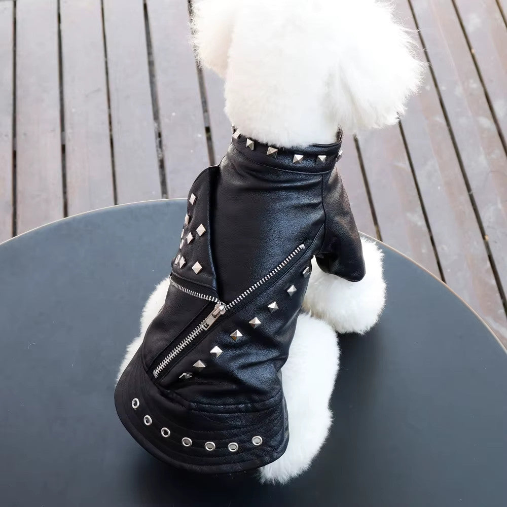 Veste en Cuir pour Chat