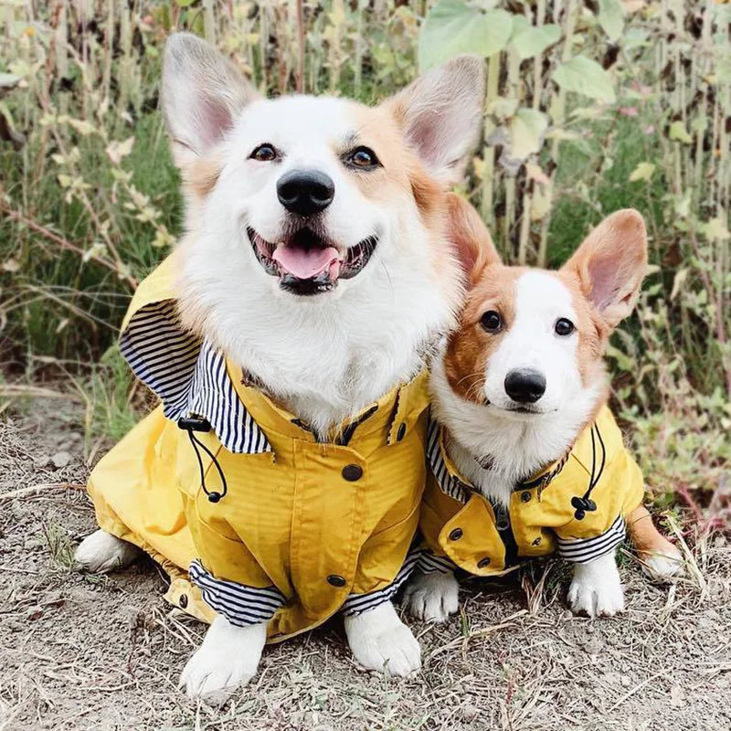 Manteau Pluie Carlin et Petit Chien
