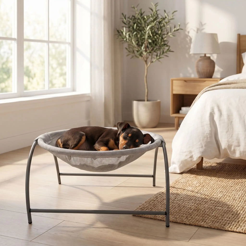 Hamac pour chien - ToyToutou™