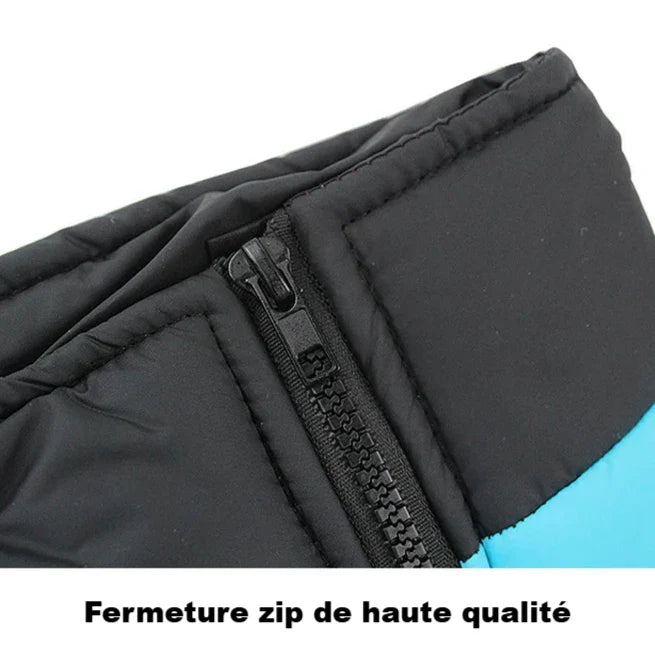 Manteau American Staff et Chien Moyen