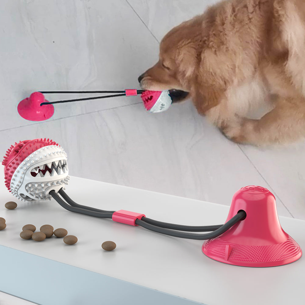La balle pour chien anti-stress | BouncePup™