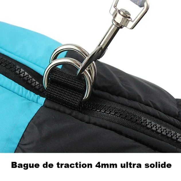 Manteau American Staff et Chien Moyen