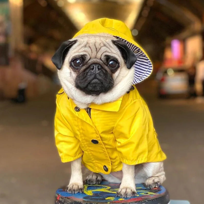 Manteau Pluie Carlin et Petit Chien