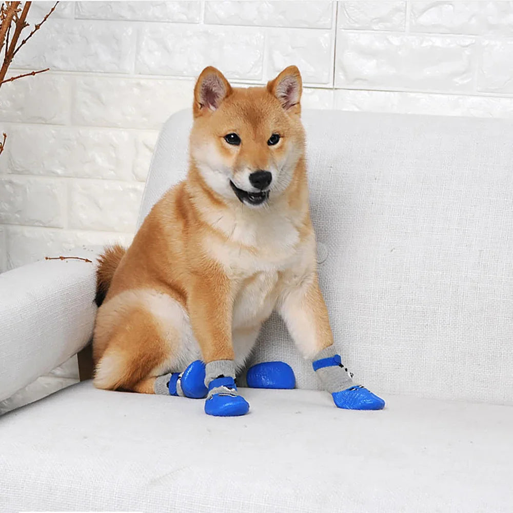 Chaussettes pour Chien Imperméable