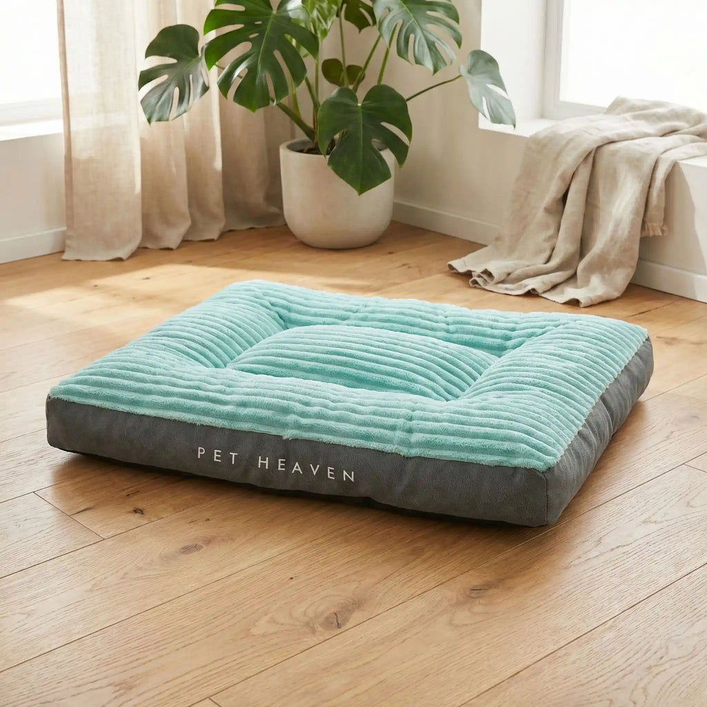 Housse de coussin chien - PénardToutou™