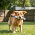 Jouet-indestructible-chien-interactif-coton-lin pour jeu de traction, de rermorqueur, de tir à la corde, avec deux sangles aux extrémité et boudin doux et résistant aux morsures et machoires puissantes-un golden retriever qui court rapporter le jouet dans sa gueule pour des séances de jeu interactive avec son maitre