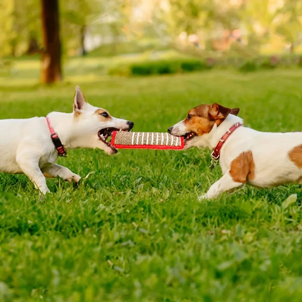 Jouet indestructible chien - InteractifToutou™