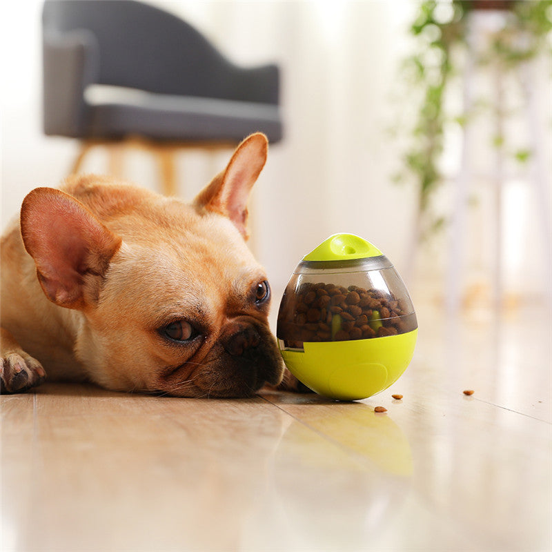 Jouet interactif chien | WoofWonder™