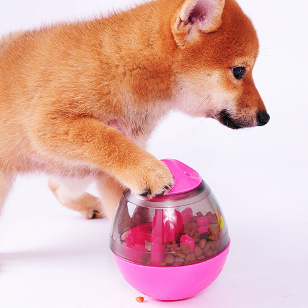 Jouet interactif chien | WoofWonder™