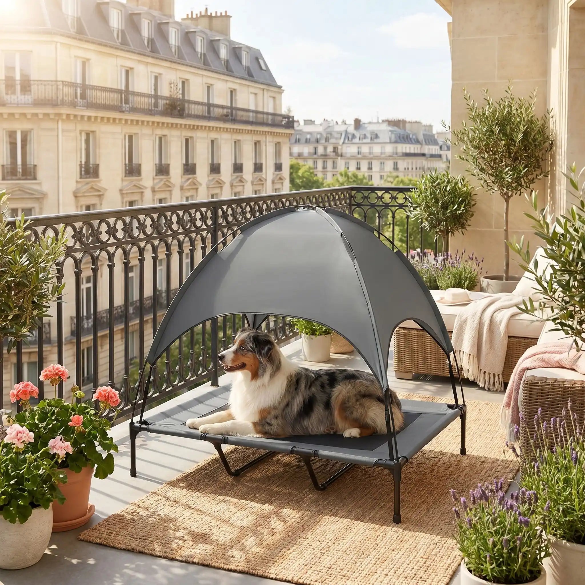 Lit camp chien - AuventToutou™