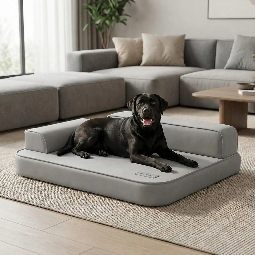 Lit canapé pour chien - ImperméableToutou™