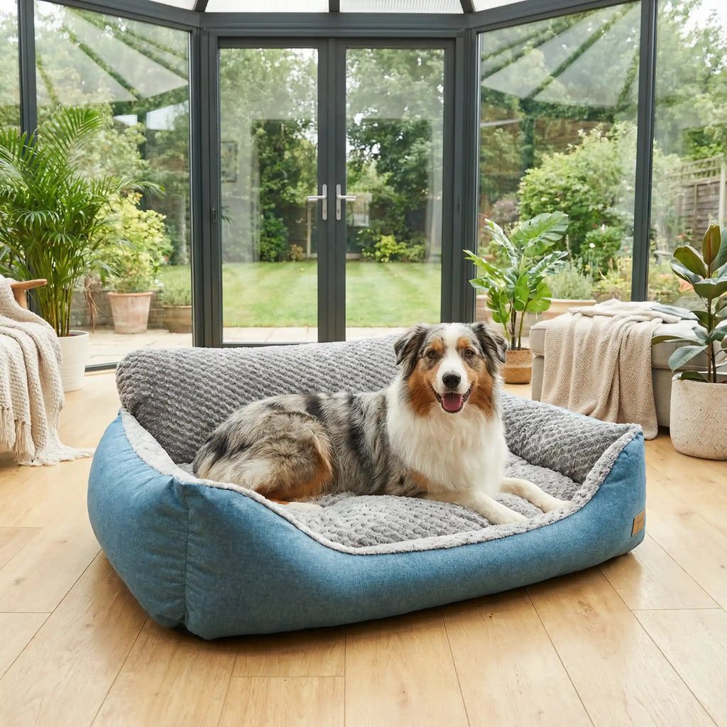 Lit canapé pour chien - XLToutou™
