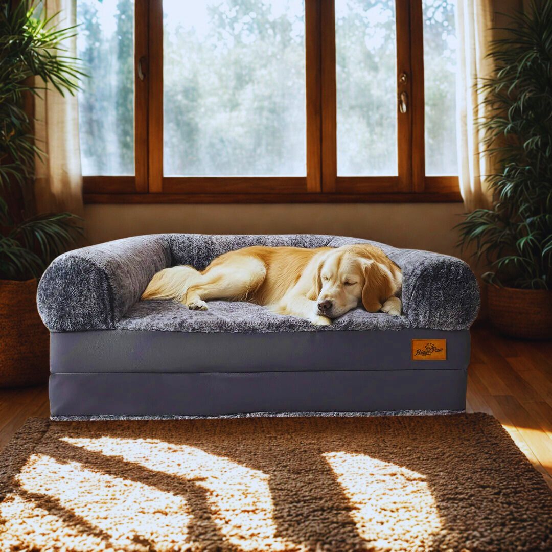 Lit canapé pour chien - XXLToutou™