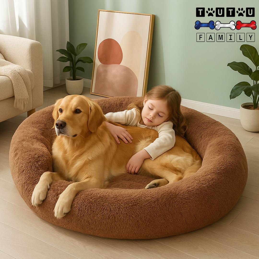 Lit chien xxl - DéhoussableToutou™