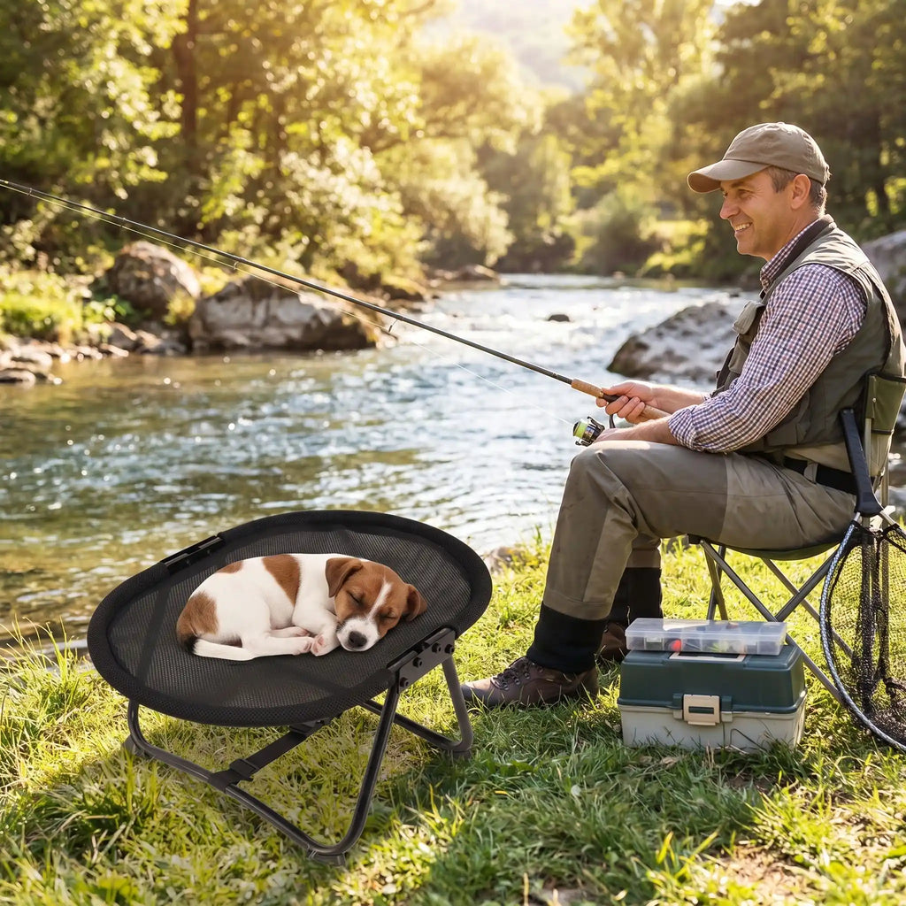 Lit de camp chien - ChaiseToutou™