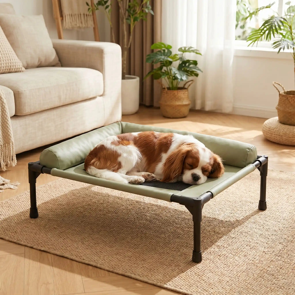 Lit de camp chien - ConfortToutou™