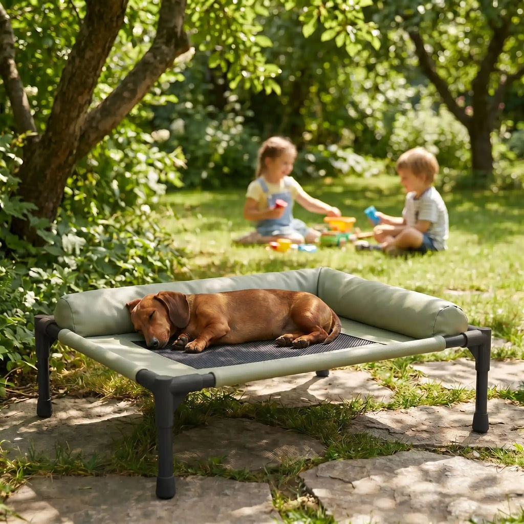 Lit de camp chien - ConfortToutou™