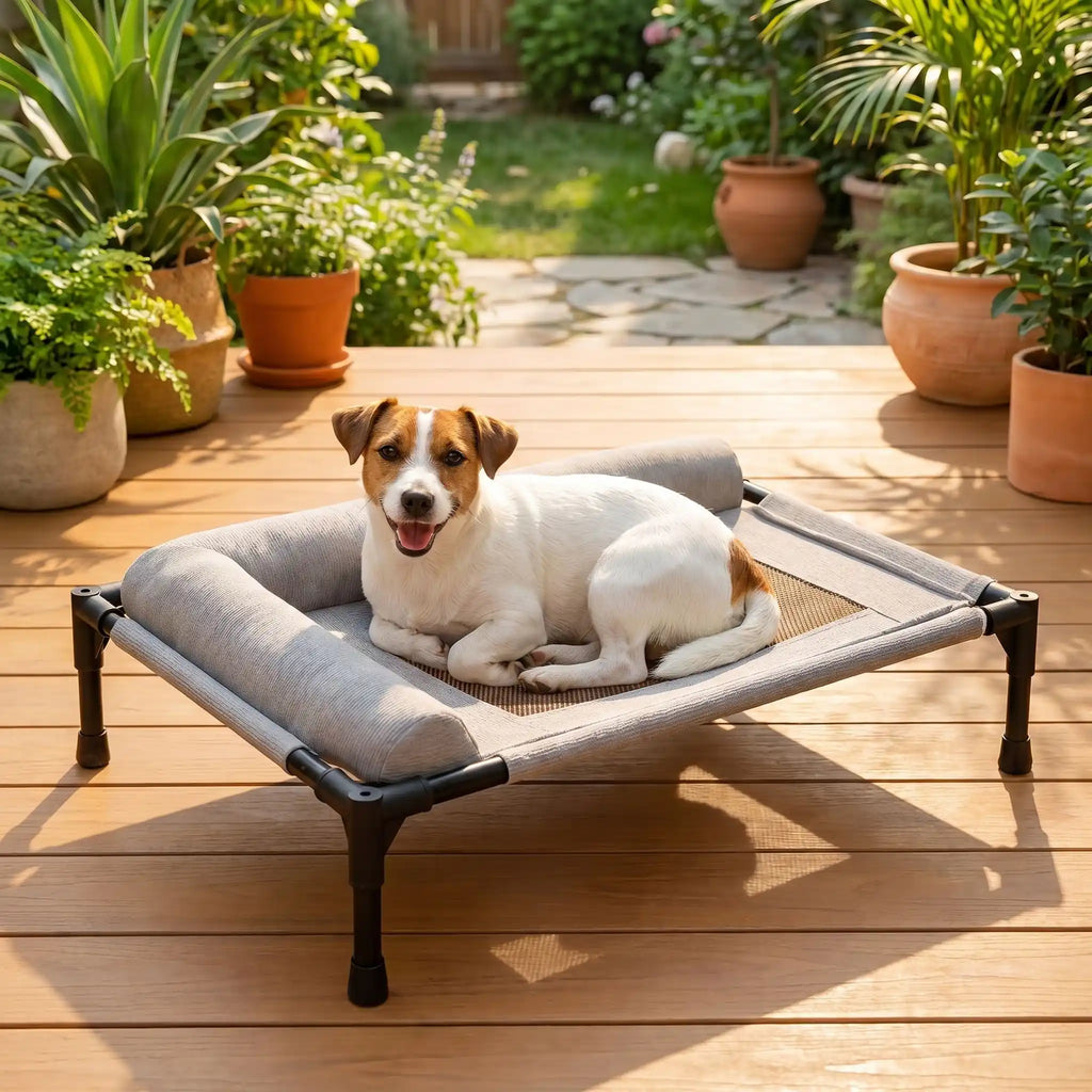 Lit de camp chien - ConfortToutou™