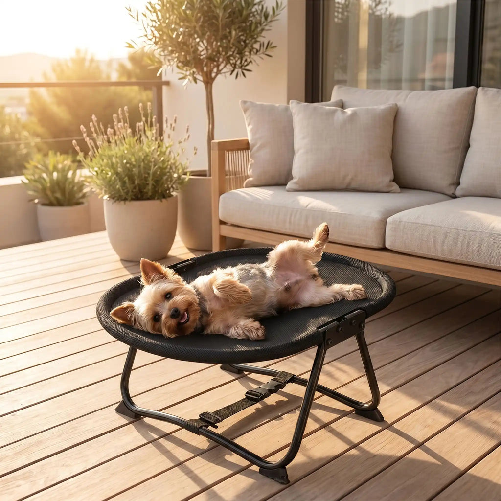 Lit de camp chien - ChaiseToutou™