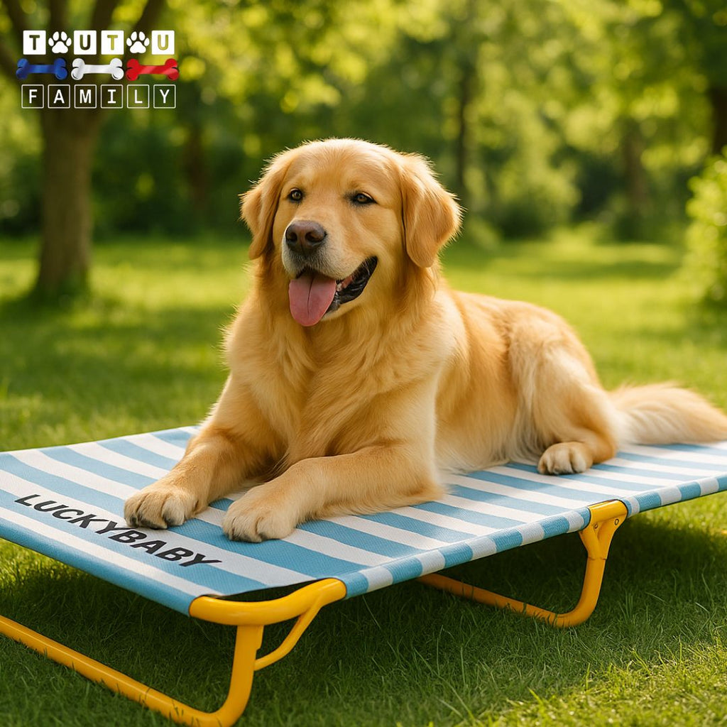 Lit de camp chien - SurélevéToutou™