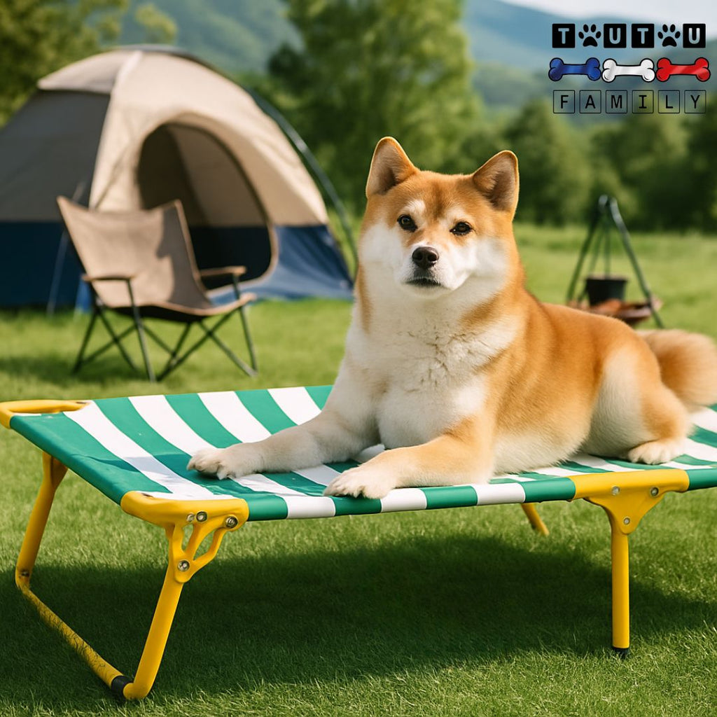 Lit de camp chien - SurélevéToutou™