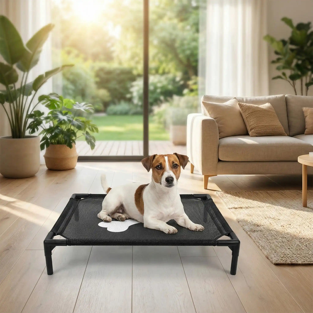 Lit de camp pour chiens - PetitToutou™