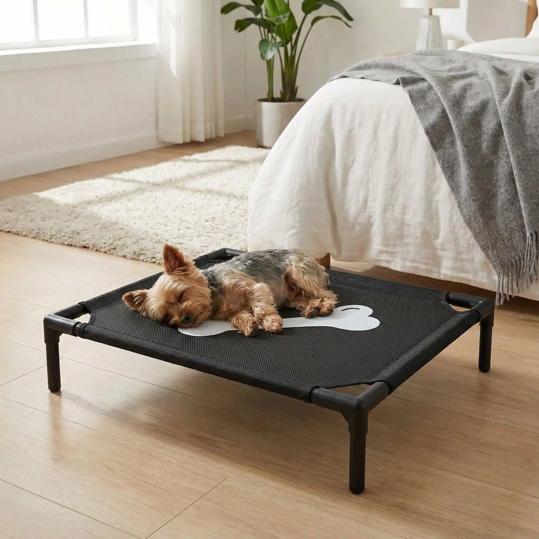 Lit de camp pour chiens - PetitToutou™