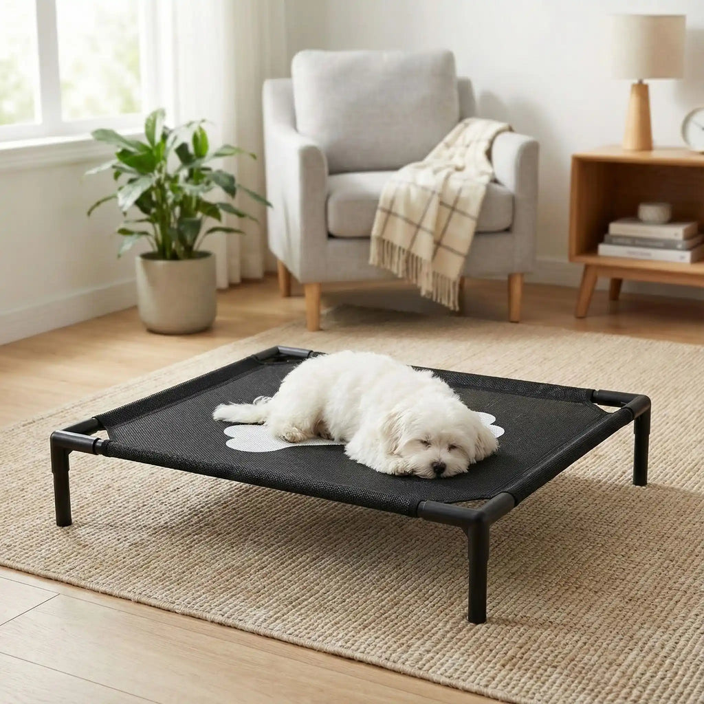 Lit de camp pour chiens - PetitToutou™