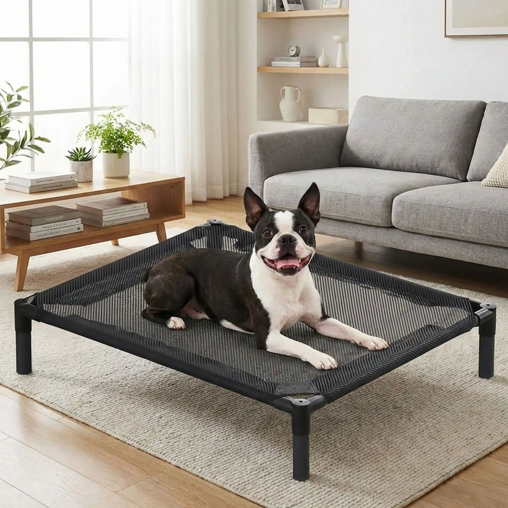 Lit de camp pour chiens - SurélevéToutou™