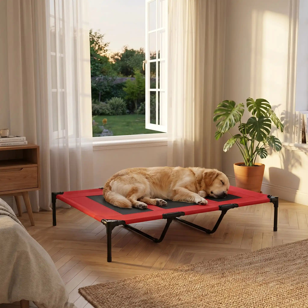 Lit de camping pour chien - XXLToutou™