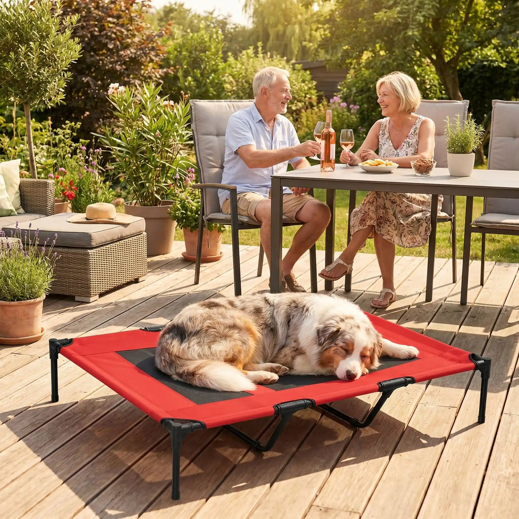Lit de camping pour chien - XXLToutou™