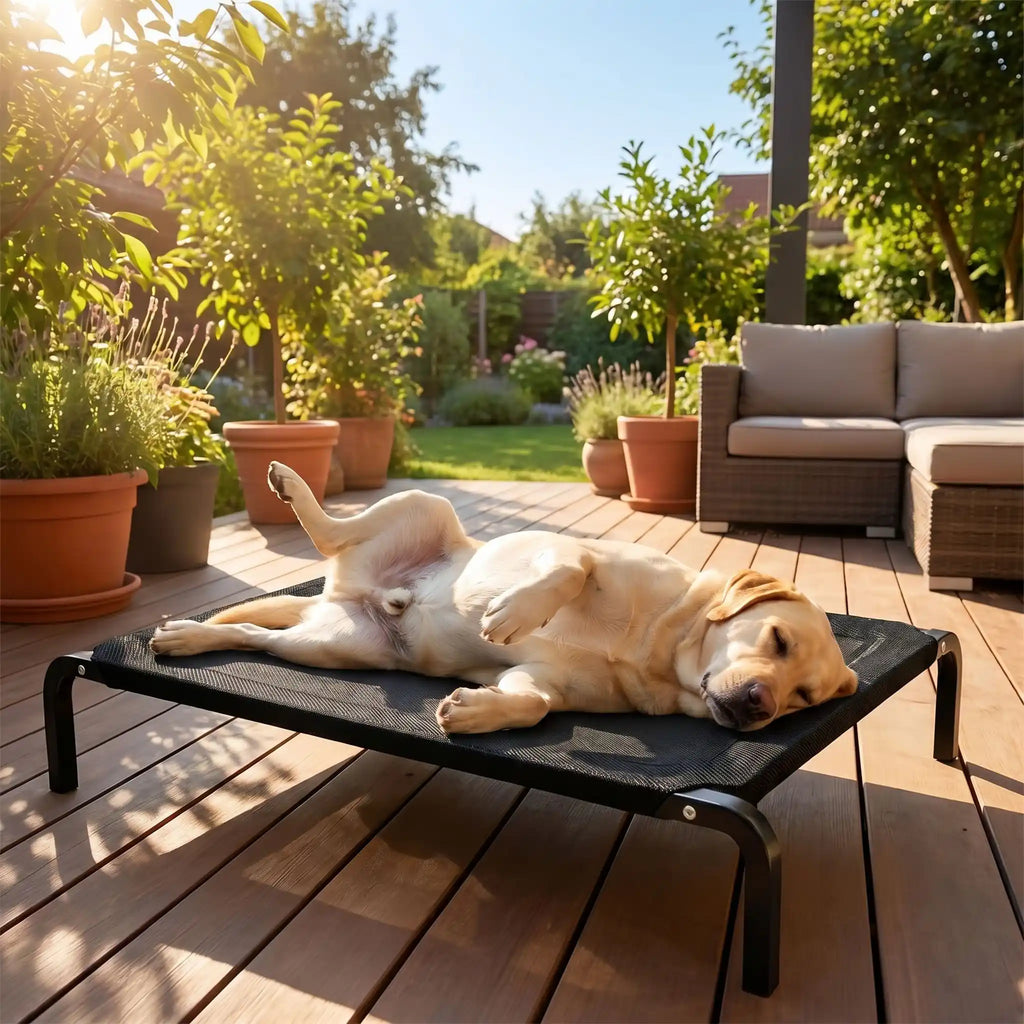 Lit de camps chien - CarboneToutou™