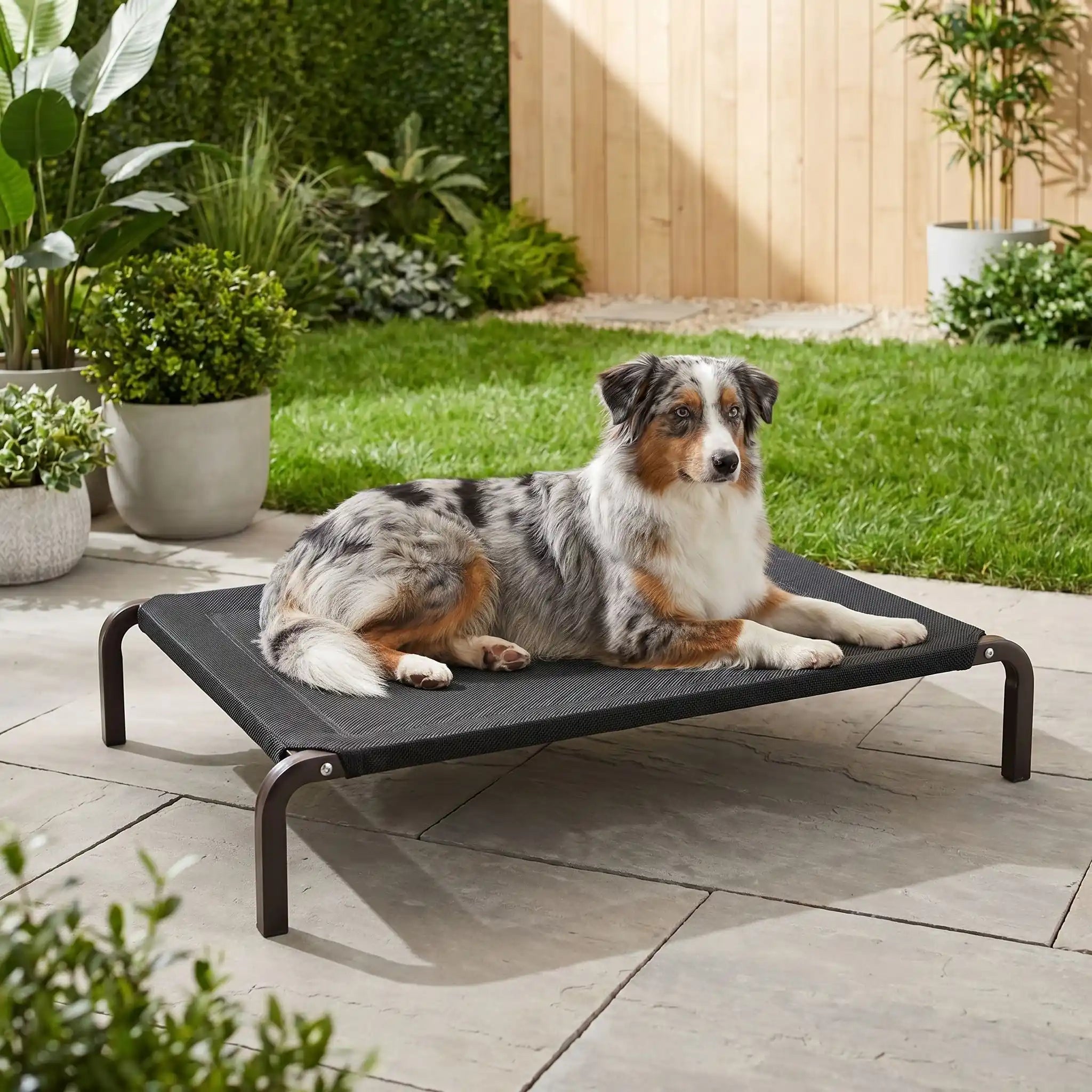 Lit de camps chien - CarboneToutou™
