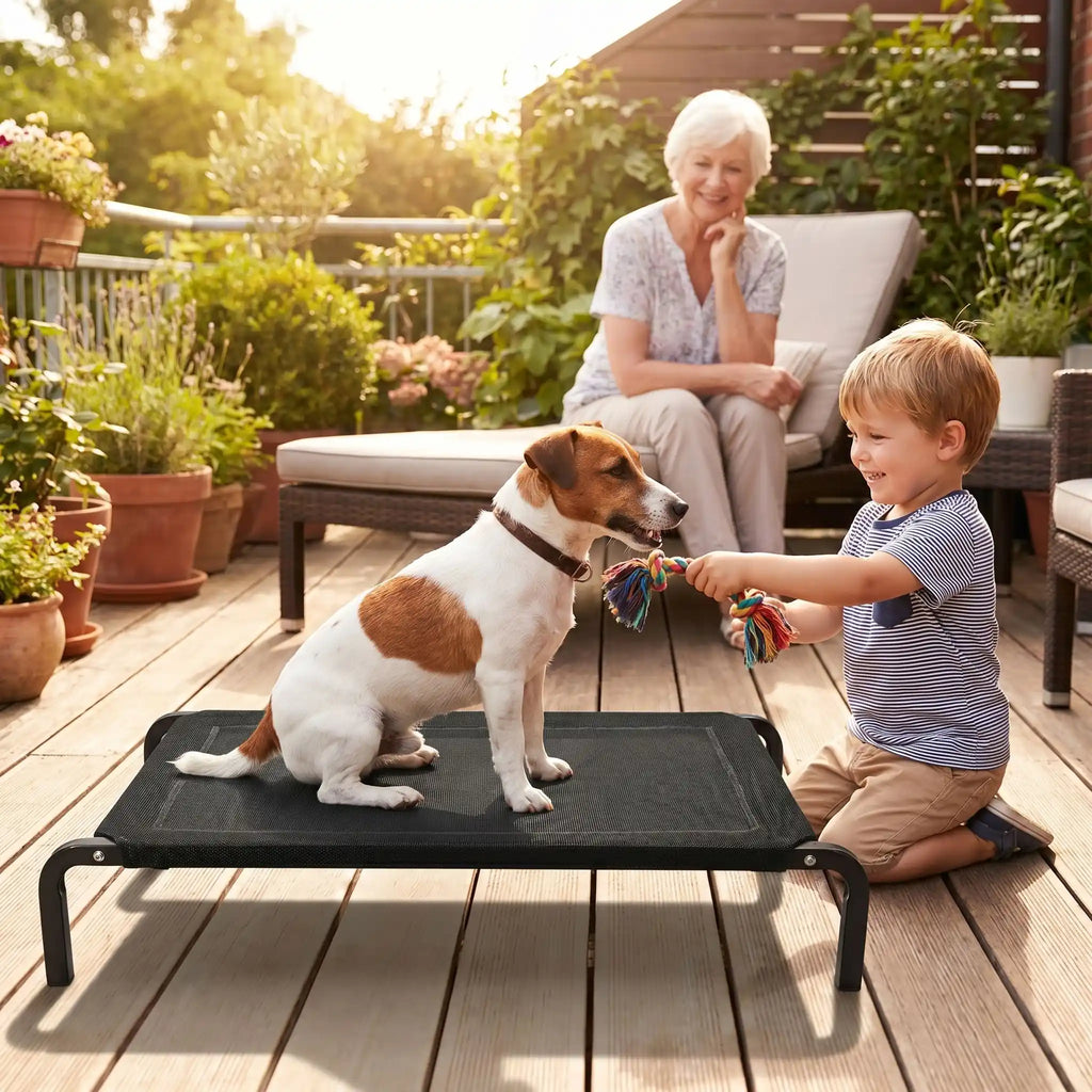 Lit de camps chien - CarboneToutou™