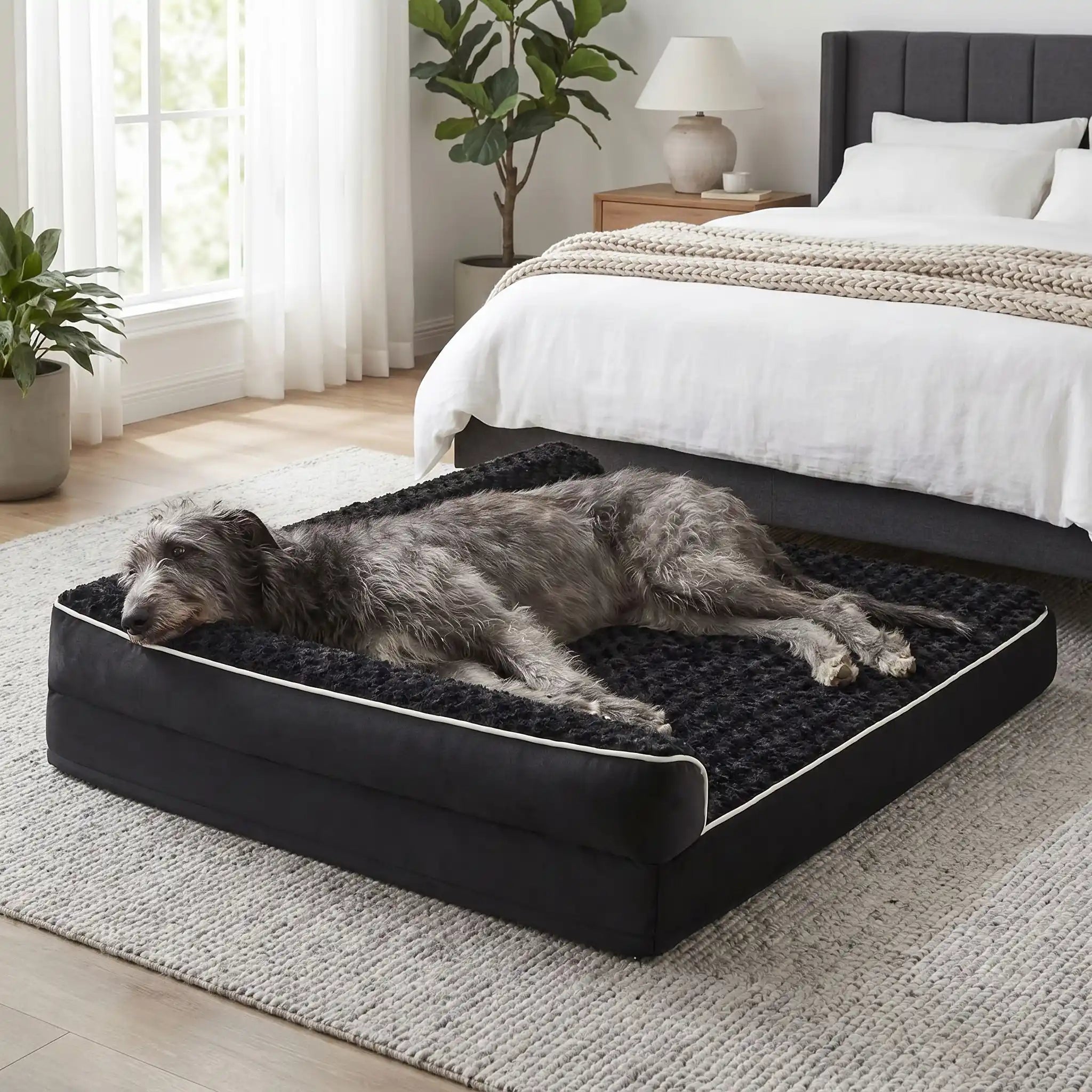 Lit orthopédique chien - GrandToutou™