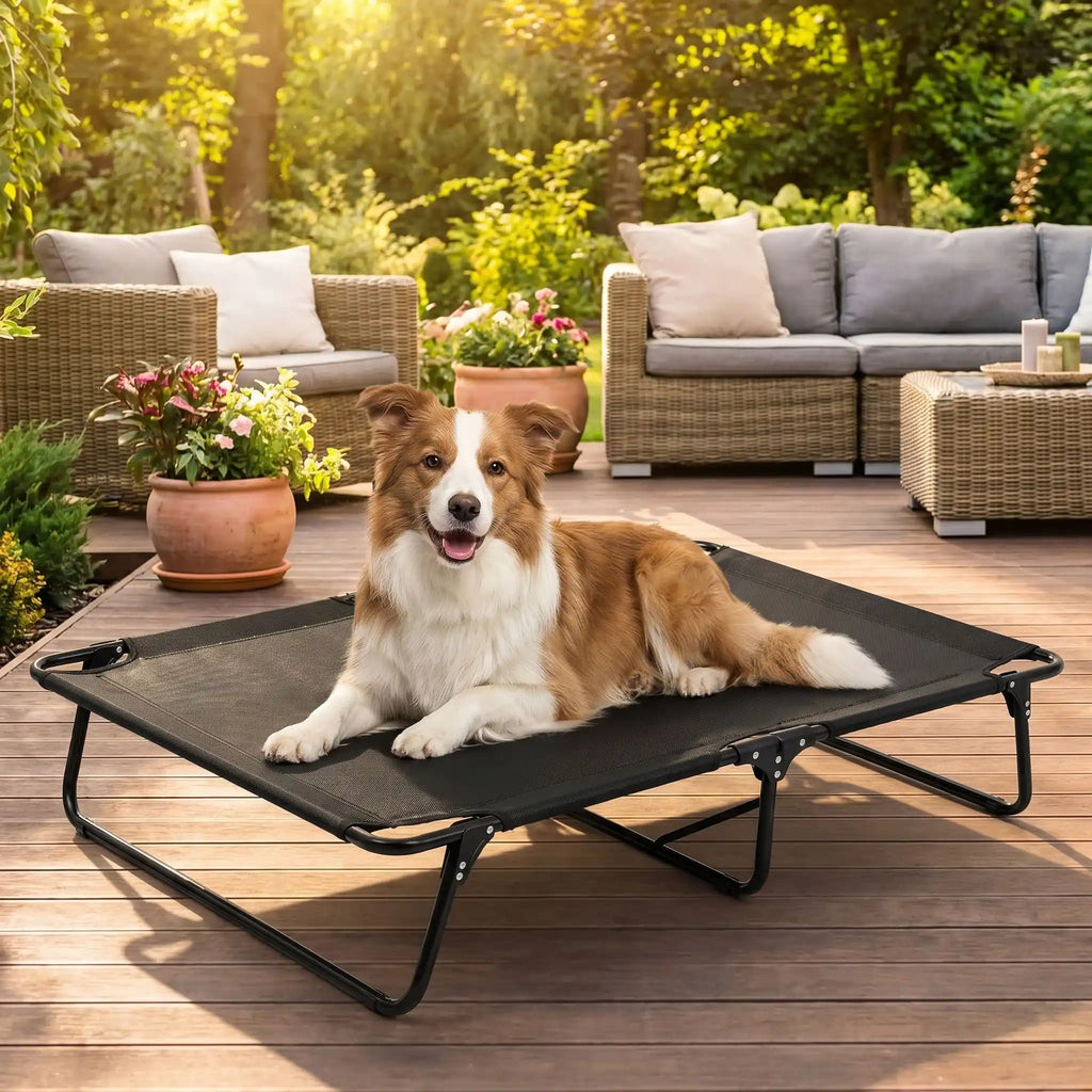 Lit pliant chien - CampToutou™