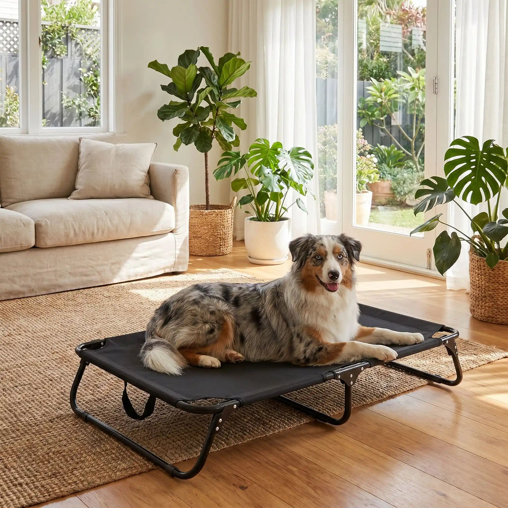 Lit pliant chien - CampToutou™