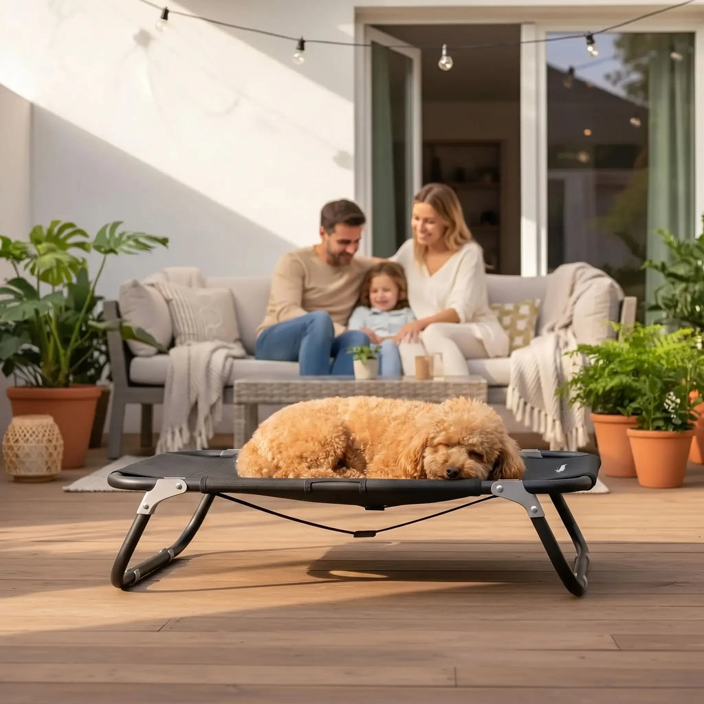 Lit pliant chien - PetitToutou™