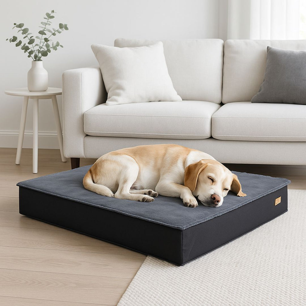 Lit pour chien orthopédique - ImperméableToutou™