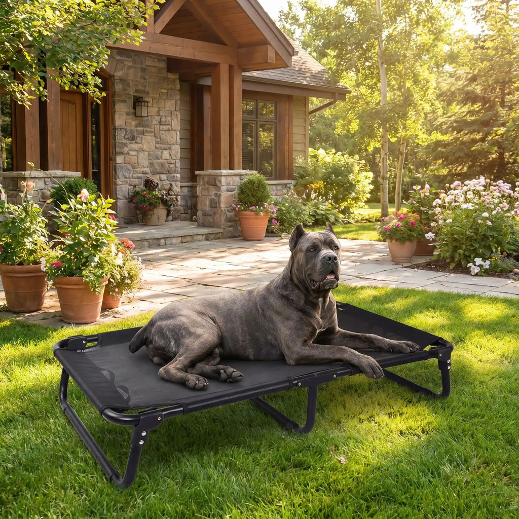 Lit pliant pour chien - CampsToutou™