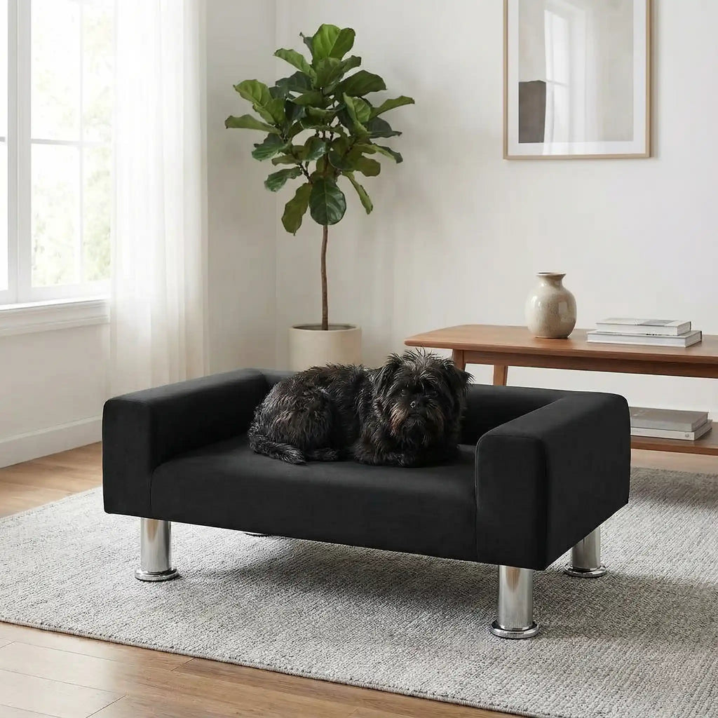 Mini canapé pour chien - DesignToutou™