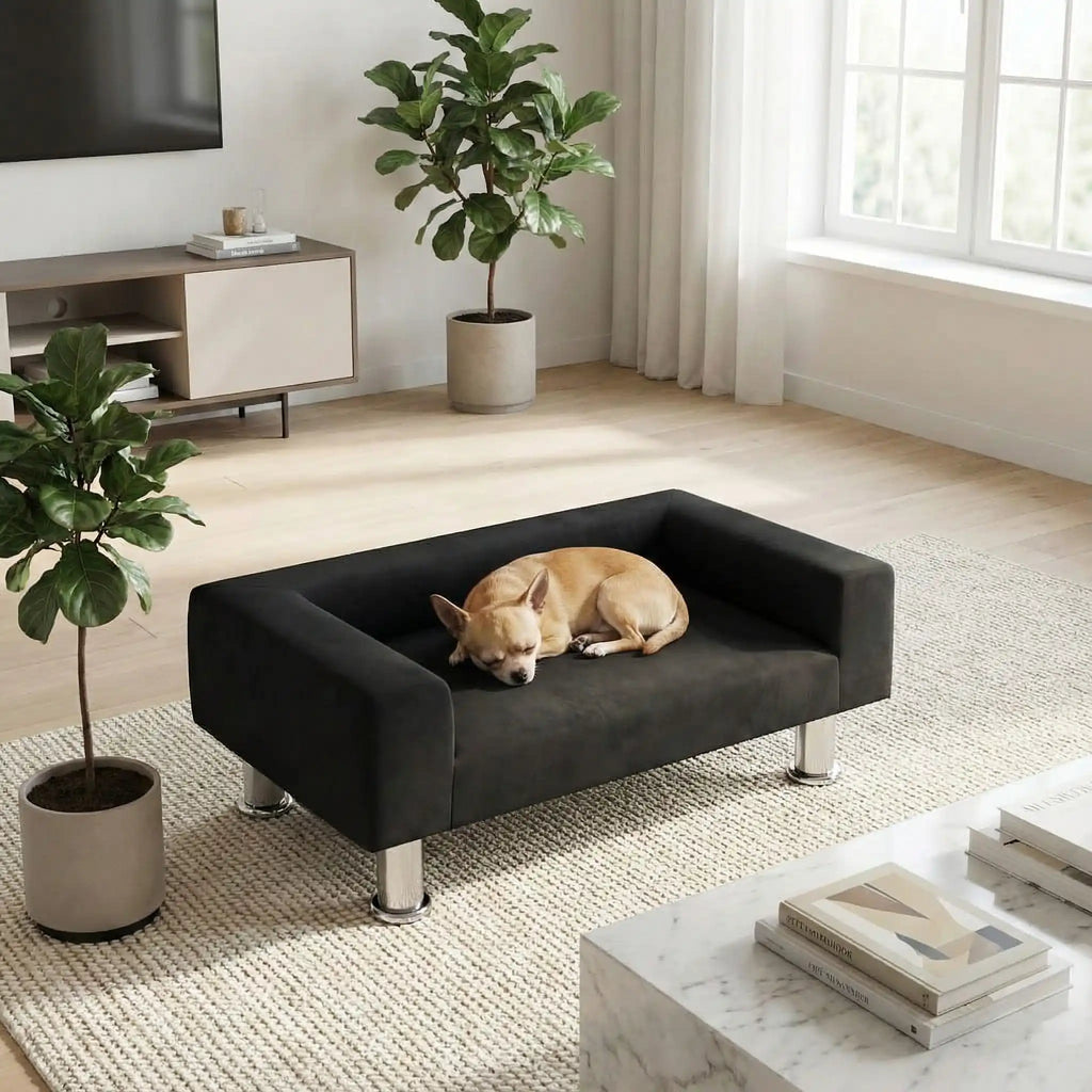 Mini canapé pour chien - DesignToutou™