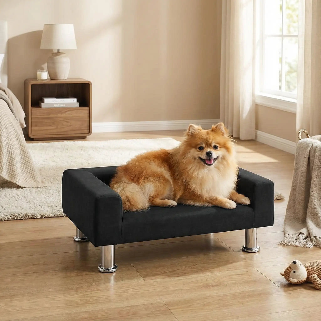 Mini canapé pour chien - DesignToutou™