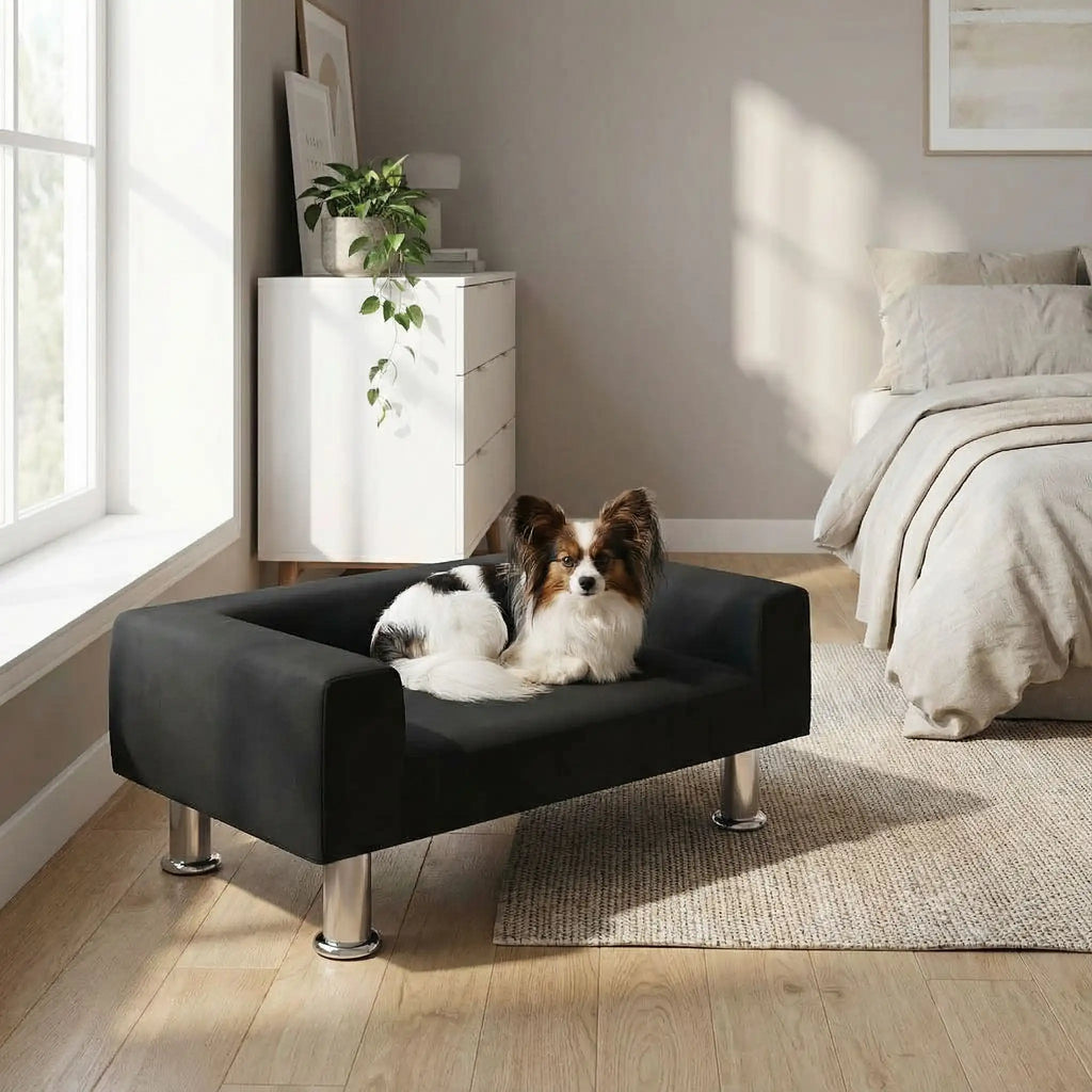 Mini canapé pour chien - DesignToutou™